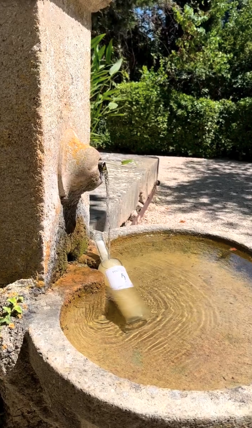 A stone fountain with bottles of wine cooling in the water